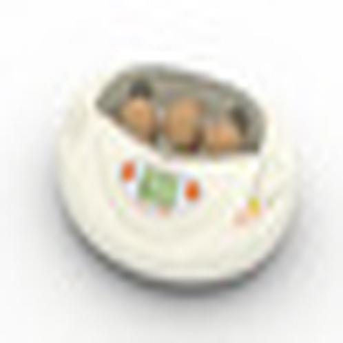 Digital Egg Incubator "Rcom Mini"